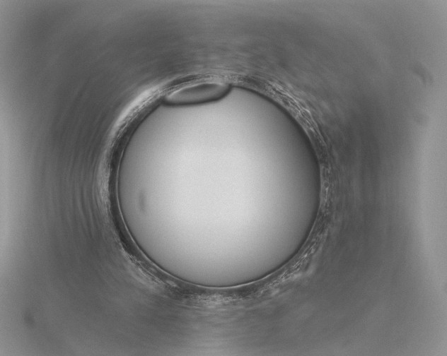 X0000116150197200912071311