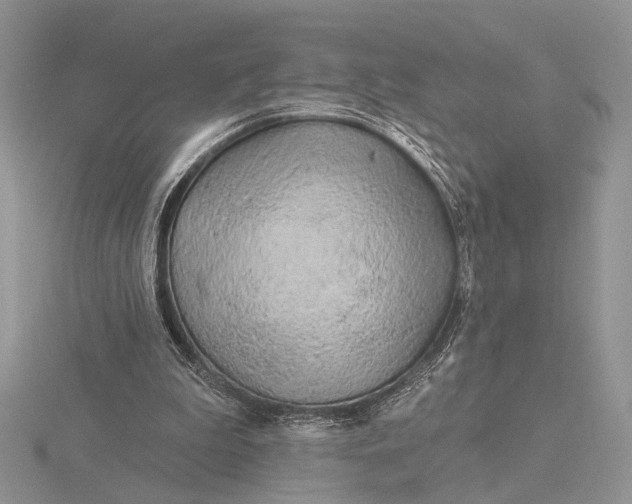 X0000116150199200912071311