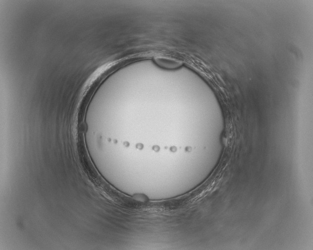 X0000116150200200912071311