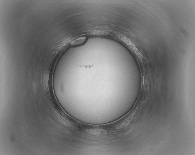 X0000116150201200912071311