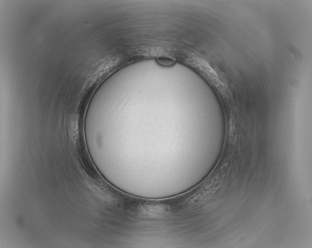 X0000116150202200912071311