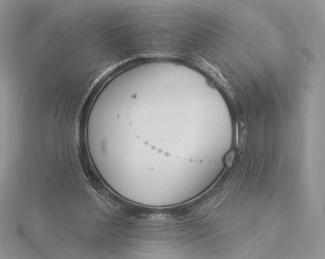 X0000116150204200912071311