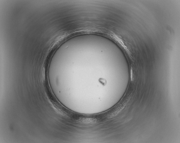 X0000116150205200912071311