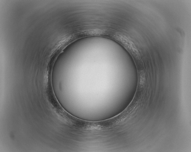 X0000116150206200912071311