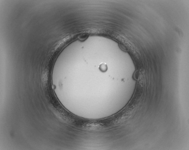 X0000116150208200912071311