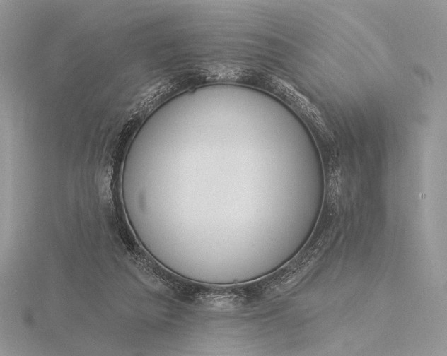 X0000116150209200912071311