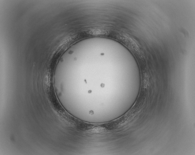 X0000116150210200912071311