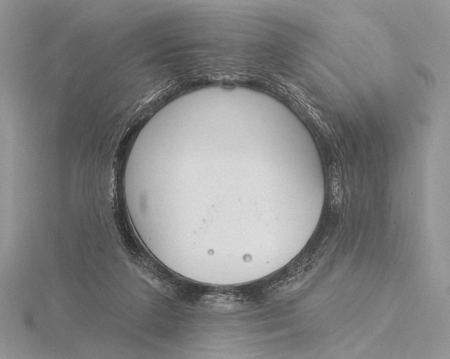 X0000116150211200912071311