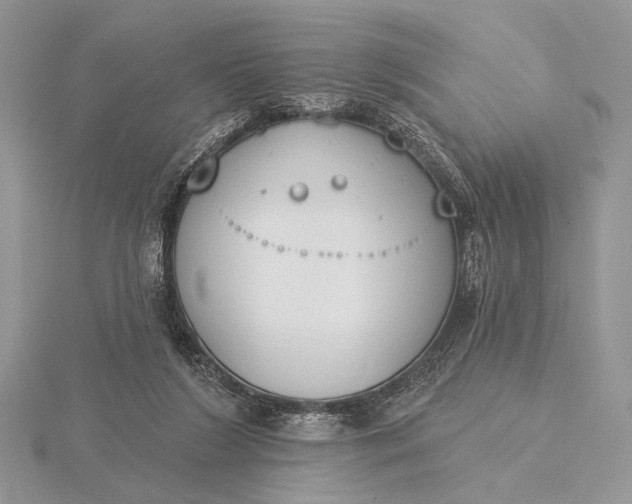 X0000116150212200912071311