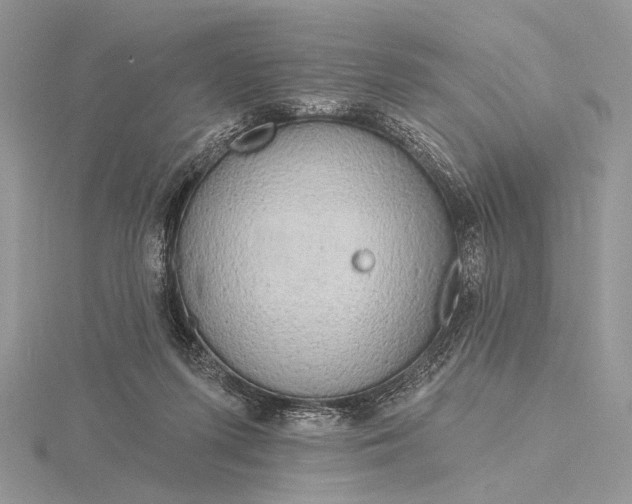 X0000116150215200912071311