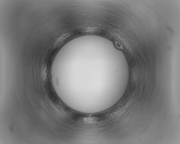 X0000116150216200912071311