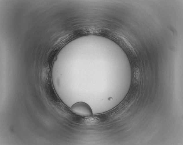 X0000116150218200912071311