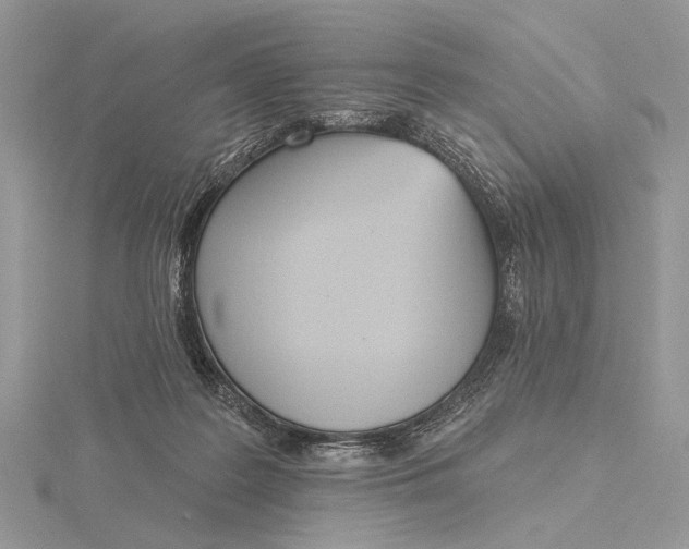 X0000116150219200912071311