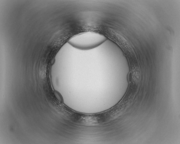 X0000116150221200912071311