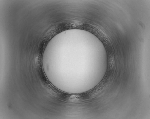 X0000116150222200912071311