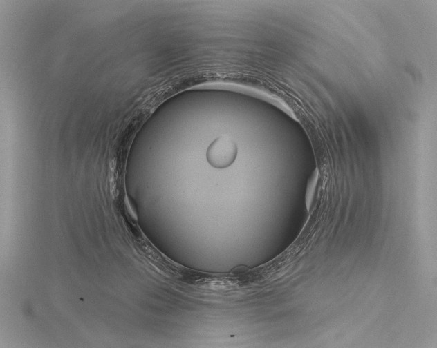 X0000116150223200912071311