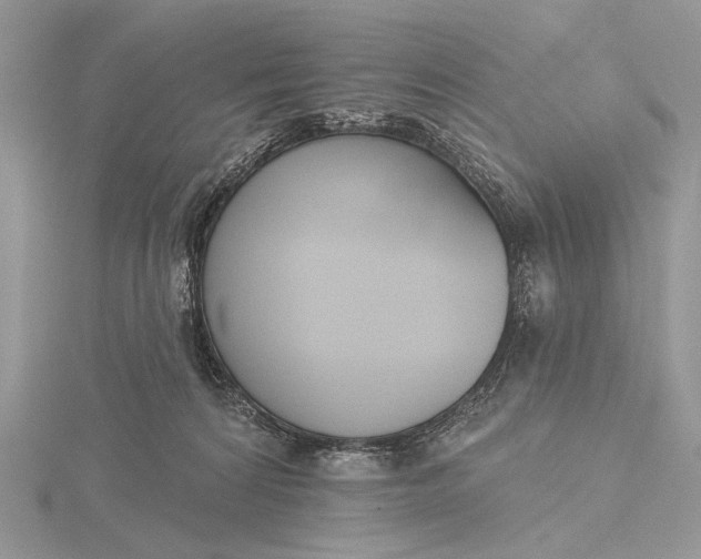 X0000116150224200912071311