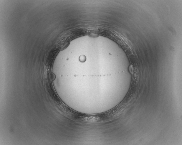 X0000116150225200912071311