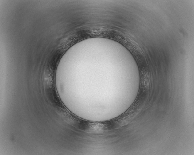 X0000116150226200912071310