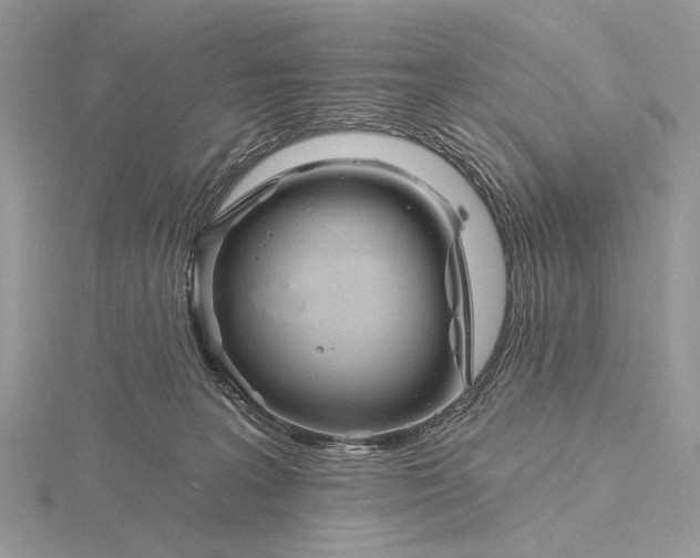 X0000116150227200912071310