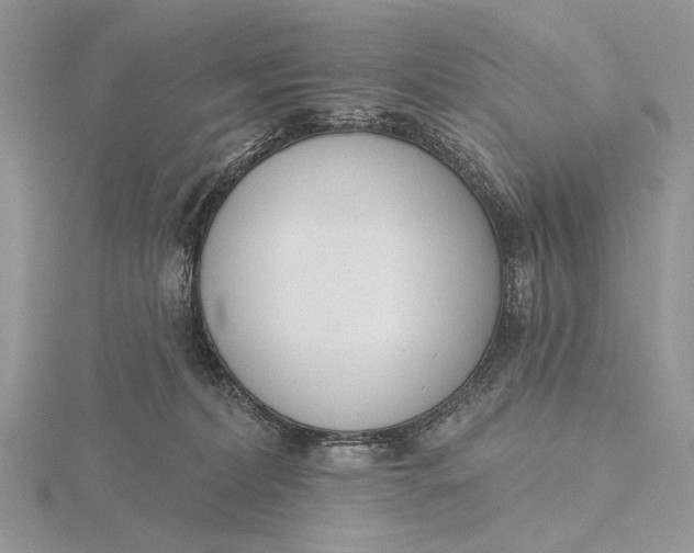 X0000116150228200912071310