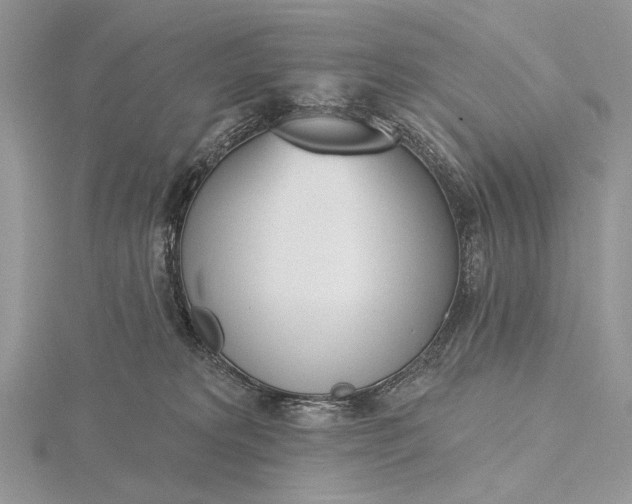 X0000116150229200912071310