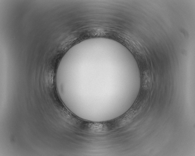 X0000116150230200912071310