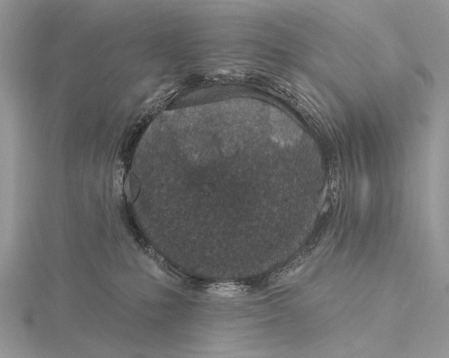 X0000116150231200912071310