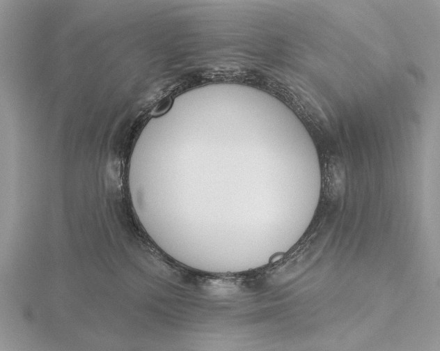 X0000116150232200912071310