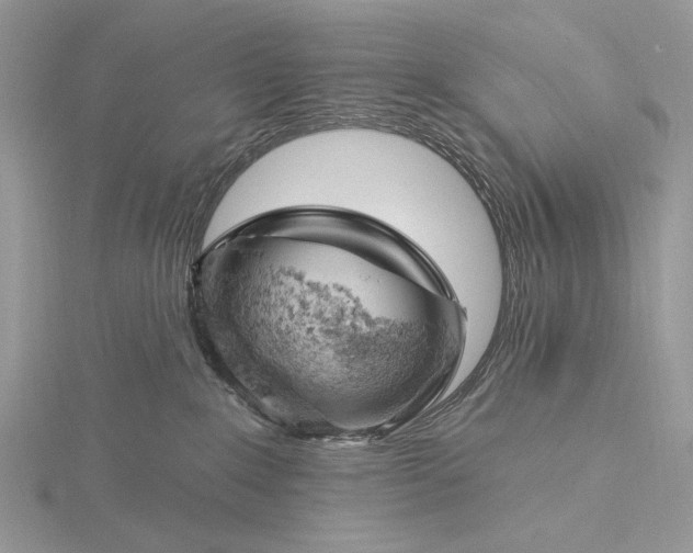 X0000116150235200912071310