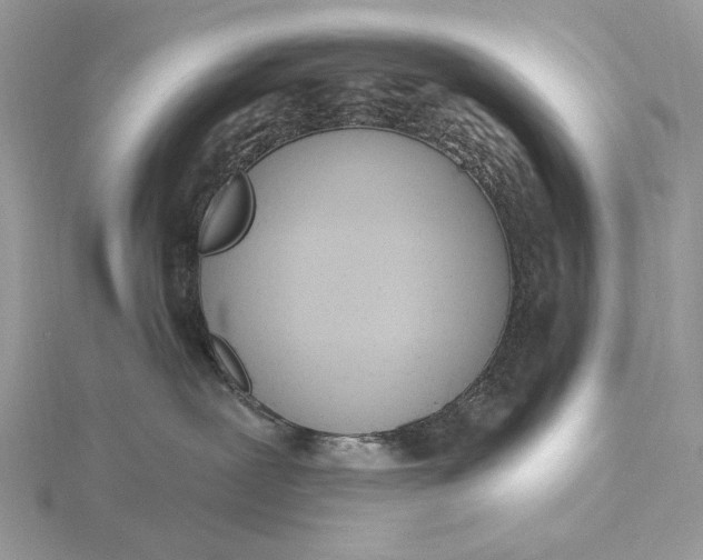 X0000116150239200912071310