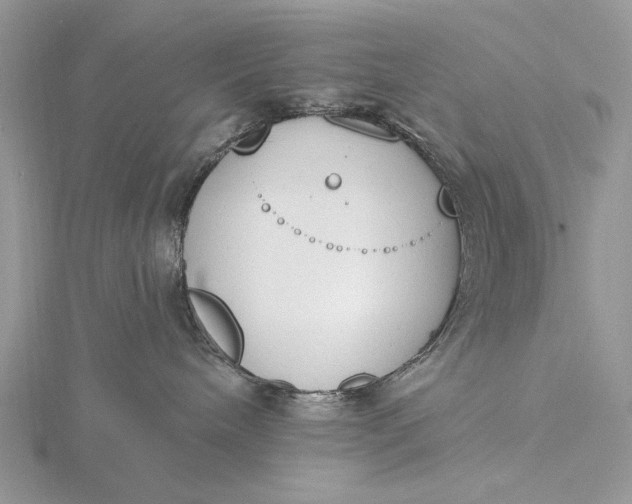 X0000116150240200912071310