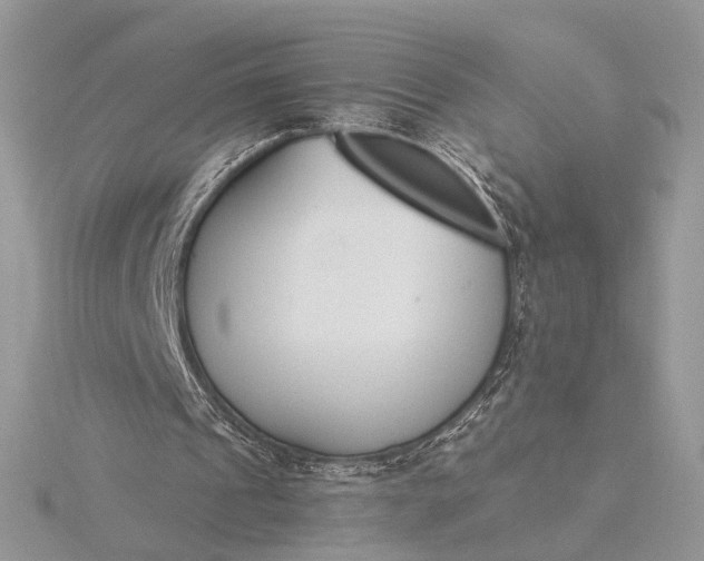 X0000116150241200912071310