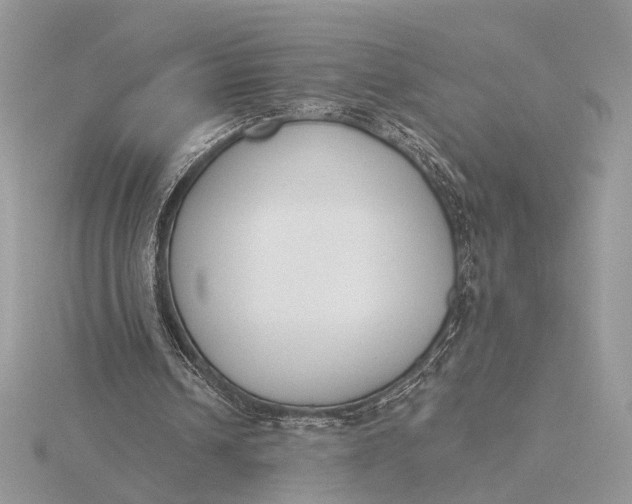 X0000116150242200912071310