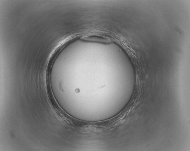 X0000116150244200912071310