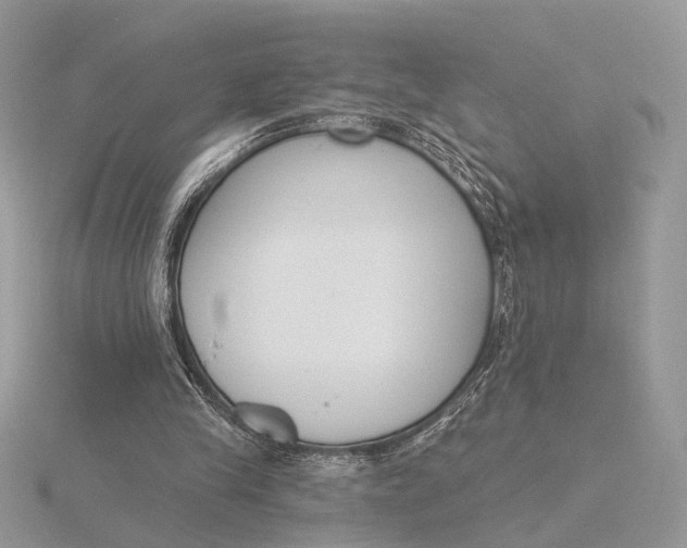 X0000116150245200912071310