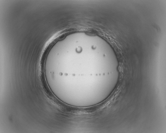 X0000116150246200912071310