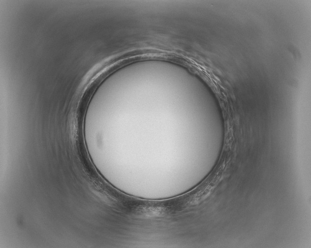 X0000116150247200912071310