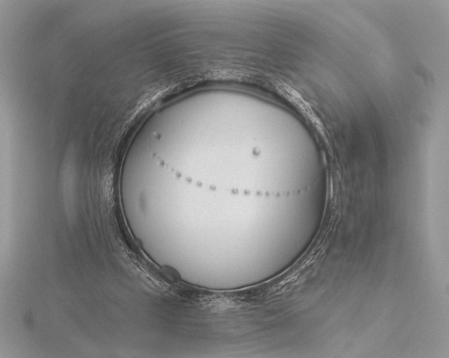 X0000116150249200912071310