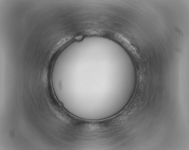 X0000116150250200912071310