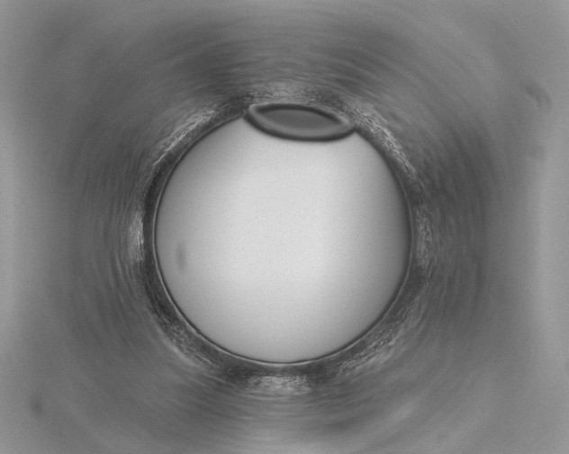 X0000116150251200912071310