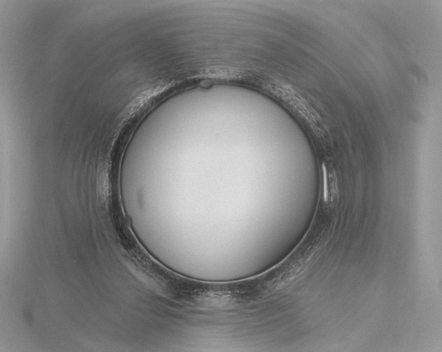 X0000116150252200912071310