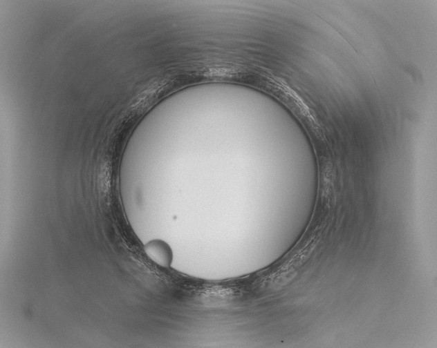 X0000116150257200912071310