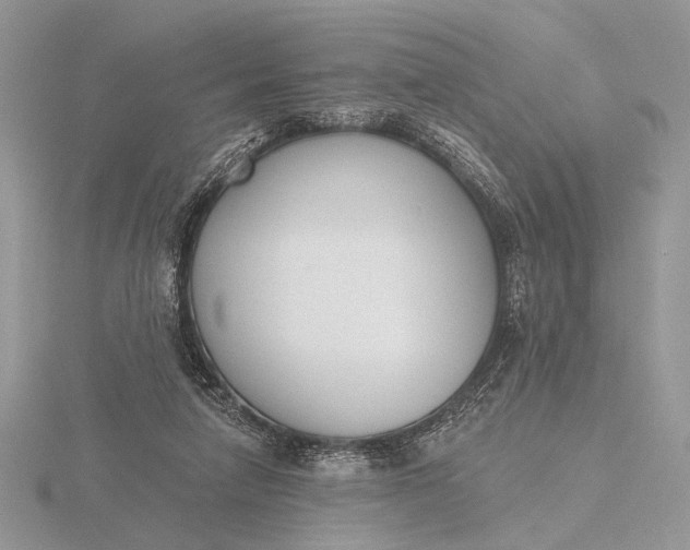 X0000116150258200912071310