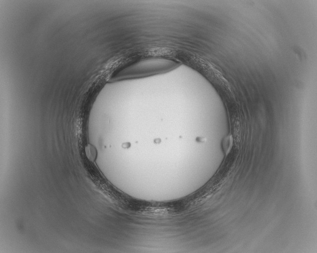 X0000116150260200912071310