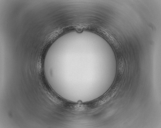 X0000116150261200912071310