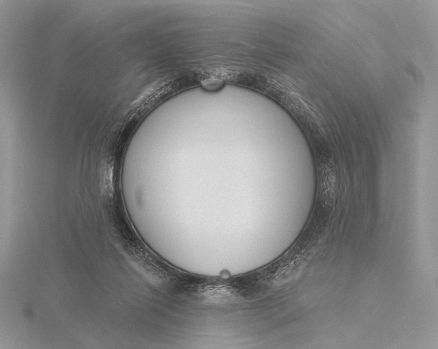 X0000116150262200912071310