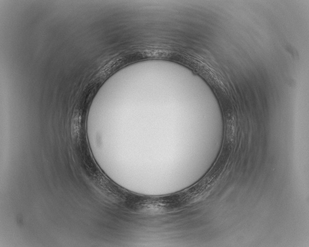 X0000116150263200912071310