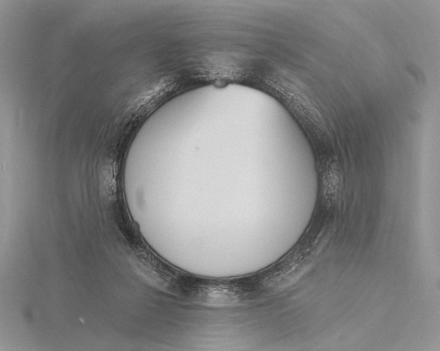 X0000116150264200912071310