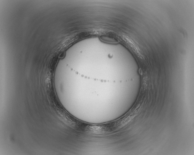 X0000116150265200912071310